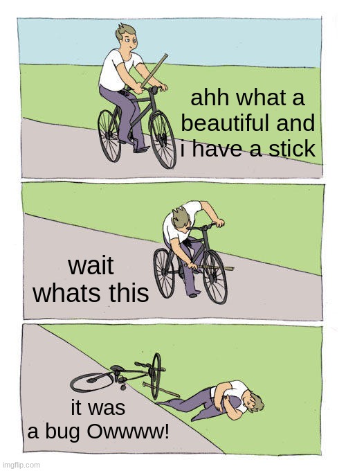 Bike Fall Meme | ahh what a beautiful and i have a stick; wait whats this; it was a bug Owwww! | image tagged in memes,bike fall | made w/ Imgflip meme maker