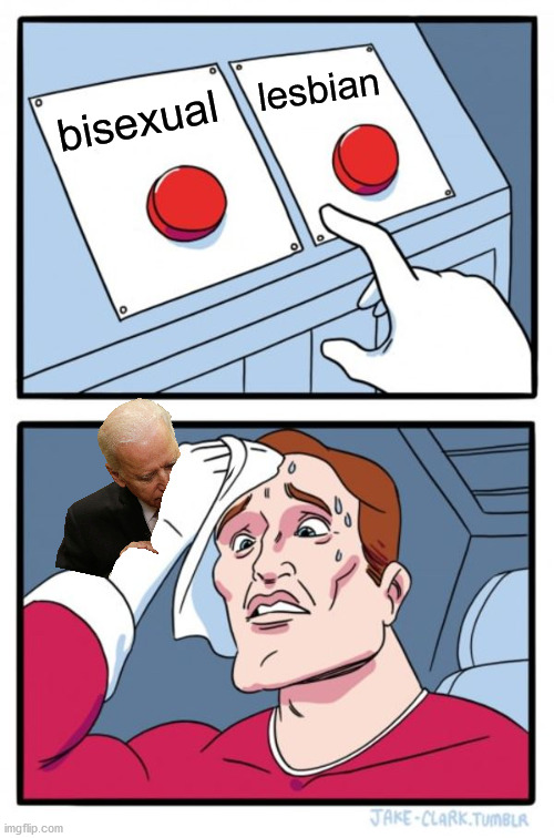 Two Buttons Meme | lesbian; bisexual | image tagged in memes,two buttons | made w/ Imgflip meme maker