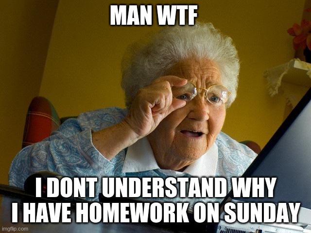 Grandma Finds The Internet | MAN WTF; I DONT UNDERSTAND WHY I HAVE HOMEWORK ON SUNDAY | image tagged in memes,grandma finds the internet | made w/ Imgflip meme maker