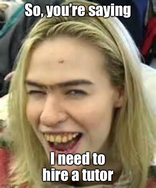 ugly girl | So, you’re saying I need to hire a tutor | image tagged in ugly girl | made w/ Imgflip meme maker