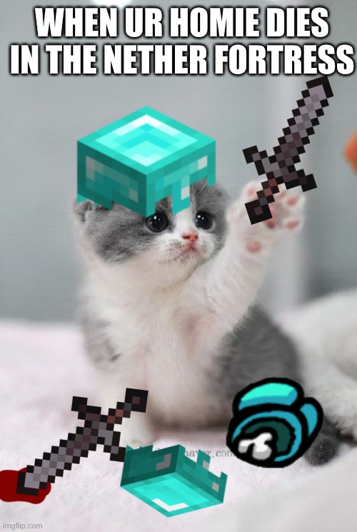 cute cat | WHEN UR HOMIE DIES IN THE NETHER FORTRESS | image tagged in cute cat | made w/ Imgflip meme maker