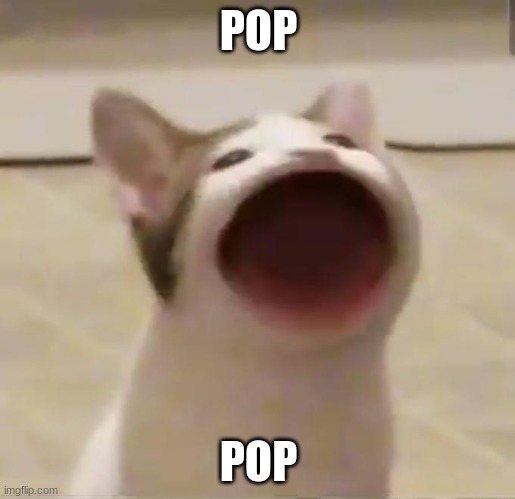 Pop Cat | POP POP | image tagged in pop cat | made w/ Imgflip meme maker