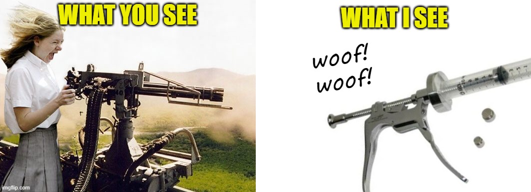 WHAT YOU SEE WHAT I SEE woof!
woof! | image tagged in machine gun girl,blank white template | made w/ Imgflip meme maker