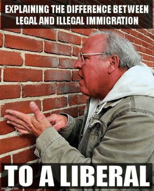 illegal Immigrants and the Southern Border | image tagged in illegal immigration | made w/ Imgflip meme maker