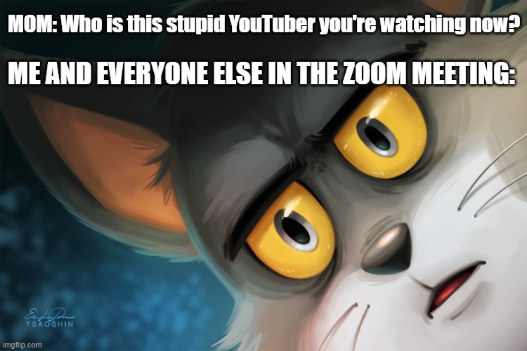 Uh, Mom?  You Might Want to Start Writing an Apology Letter... |  MOM: Who is this stupid YouTuber you're watching now? ME AND EVERYONE ELSE IN THE ZOOM MEETING: | image tagged in unsettled tom stylized,zoom meeting,memes,mom,youtuber | made w/ Imgflip meme maker