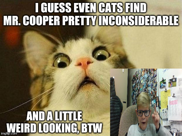 What everyone thinks of Mr. Cooper(NOT ME!) | I GUESS EVEN CATS FIND MR. COOPER PRETTY INCONSIDERABLE; AND A LITTLE WEIRD LOOKING, BTW | image tagged in memes,scared cat | made w/ Imgflip meme maker