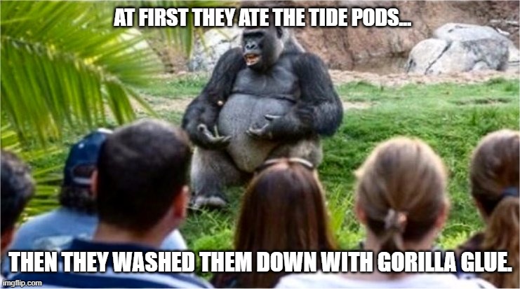 Who would have thought Tide Pods and Gorilla Glue go good together. |  AT FIRST THEY ATE THE TIDE PODS... THEN THEY WASHED THEM DOWN WITH GORILLA GLUE. | image tagged in gorilla glue,tide pods,zootopia,breakfast of champions,what did they eat | made w/ Imgflip meme maker