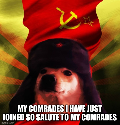 HELLO MY NEW COMRADES | MY COMRADES I HAVE JUST JOINED SO SALUTE TO MY COMRADES | image tagged in comrade doge | made w/ Imgflip meme maker
