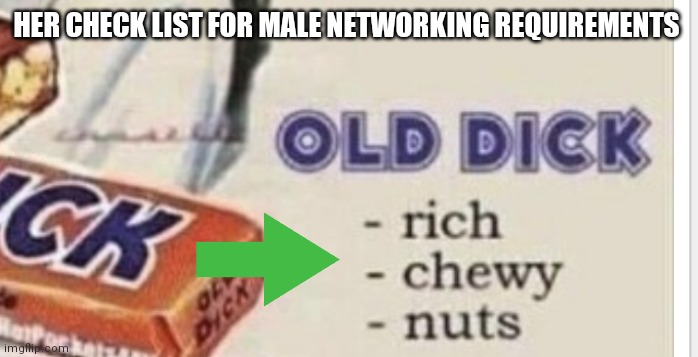 HER CHECK LIST FOR MALE NETWORKING REQUIREMENTS | made w/ Imgflip meme maker