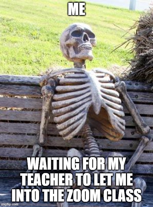 Waiting Skeleton | ME; WAITING FOR MY TEACHER TO LET ME INTO THE ZOOM CLASS | image tagged in memes,waiting skeleton | made w/ Imgflip meme maker