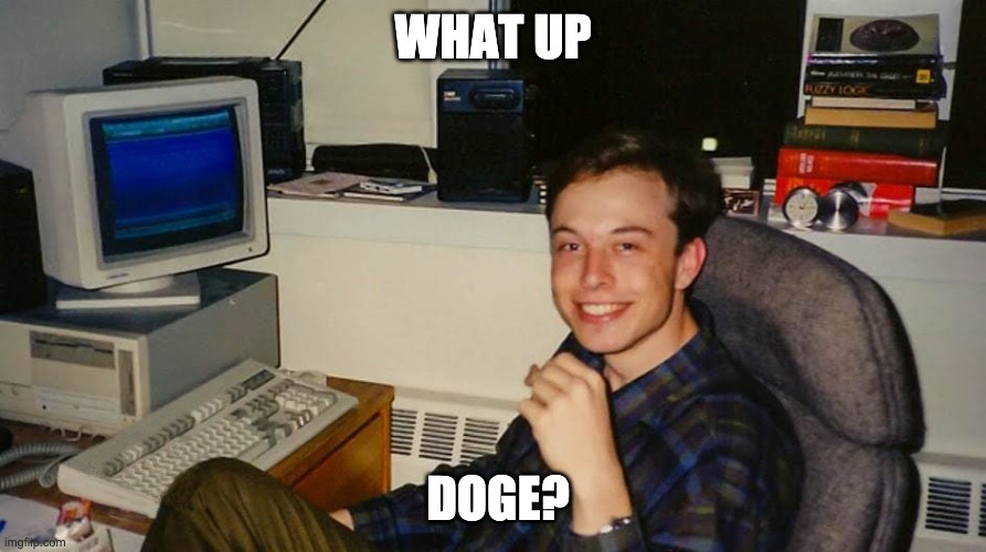 Elon the Doge | WHAT UP; DOGE? | image tagged in funny,elon musk,doge,dogecoin | made w/ Imgflip meme maker