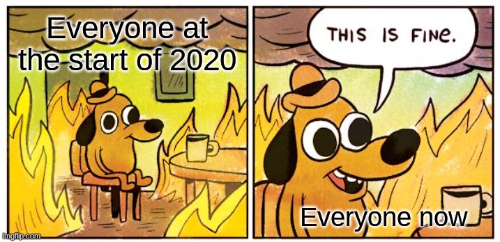 Big funny | Everyone at the start of 2020; Everyone now | image tagged in memes,this is fine | made w/ Imgflip meme maker