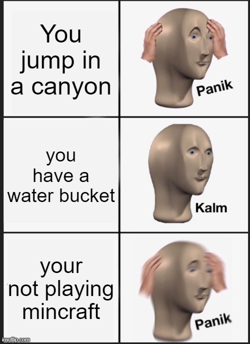 Oh No No No | You jump in a canyon; you have a water bucket; your not playing mincraft | image tagged in memes,panik kalm panik | made w/ Imgflip meme maker