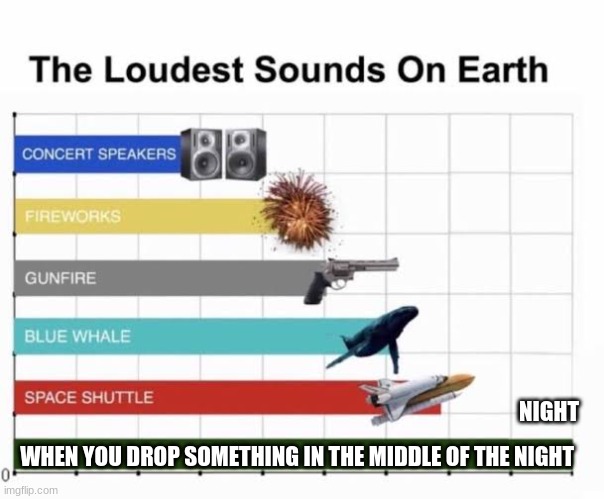 fr tho | NIGHT; WHEN YOU DROP SOMETHING IN THE MIDDLE OF THE NIGHT | image tagged in the loudest sounds on earth | made w/ Imgflip meme maker