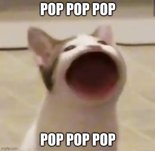 Pop Cat | POP POP POP POP POP POP | image tagged in pop cat | made w/ Imgflip meme maker
