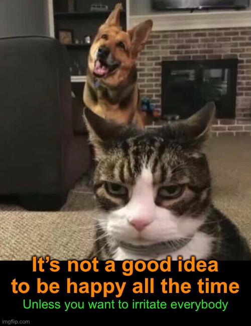 Cheer Down | It’s not a good idea to be happy all the time; Unless you want to irritate everybody | image tagged in funny memes,funny cat memes,happiness | made w/ Imgflip meme maker