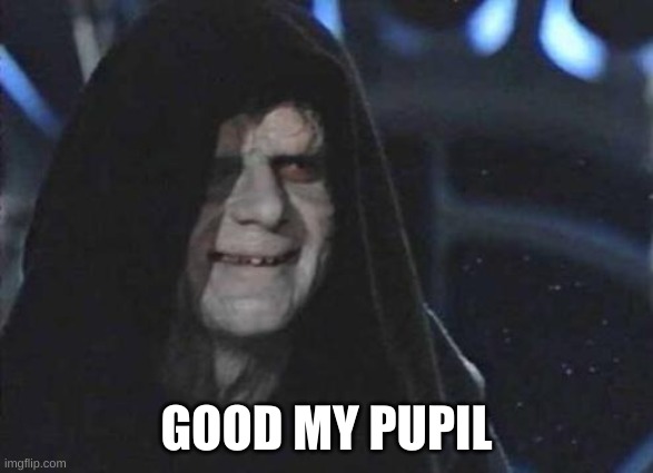 Emperor Palpatine  | GOOD MY PUPIL | image tagged in emperor palpatine | made w/ Imgflip meme maker