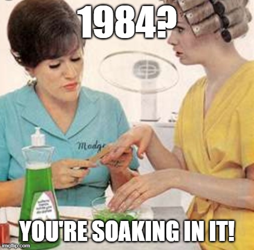 Madge 1984 | 1984? YOU'RE SOAKING IN IT! | image tagged in madge,1984,george orwell | made w/ Imgflip meme maker