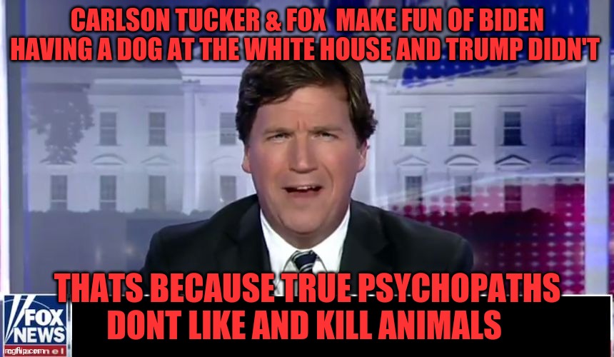 Tucker Carlson | CARLSON TUCKER & FOX  MAKE FUN OF BIDEN HAVING A DOG AT THE WHITE HOUSE AND TRUMP DIDN'T; THATS BECAUSE TRUE PSYCHOPATHS DONT LIKE AND KILL ANIMALS | image tagged in tucker carlson | made w/ Imgflip meme maker