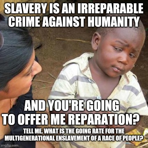 Third World Skeptical Kid Meme | SLAVERY IS AN IRREPARABLE CRIME AGAINST HUMANITY TELL ME. WHAT IS THE GOING RATE FOR THE MULTIGENERATIONAL ENSLAVEMENT OF A RACE OF PEOPLE?  | image tagged in memes,third world skeptical kid | made w/ Imgflip meme maker