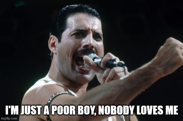 Freddie Mercury | I'M JUST A POOR BOY, NOBODY LOVES ME | image tagged in freddie mercury | made w/ Imgflip meme maker