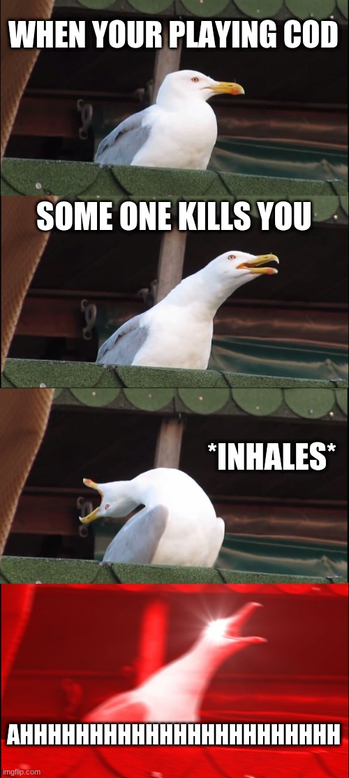 Inhaling Seagull | WHEN YOUR PLAYING COD; SOME ONE KILLS YOU; *INHALES*; AHHHHHHHHHHHHHHHHHHHHHHH | image tagged in memes,inhaling seagull | made w/ Imgflip meme maker