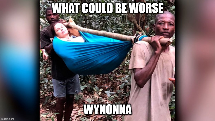 judds | WHAT COULD BE WORSE; WYNONNA | image tagged in ashley judd,wynonna,judd,congo | made w/ Imgflip meme maker