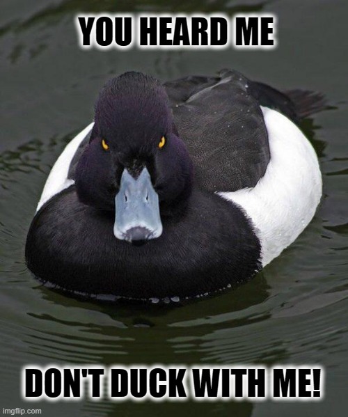 Duck Off! | YOU HEARD ME; DON'T DUCK WITH ME! | image tagged in revenge duck,duck,angry duck,funny animals | made w/ Imgflip meme maker