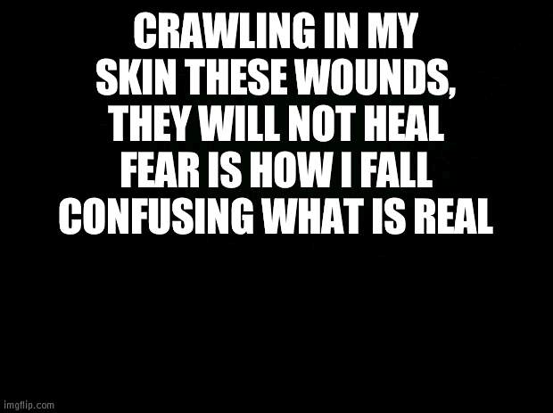 Black background | CRAWLING IN MY SKIN THESE WOUNDS, THEY WILL NOT HEAL FEAR IS HOW I FALL CONFUSING WHAT IS REAL | image tagged in black background | made w/ Imgflip meme maker