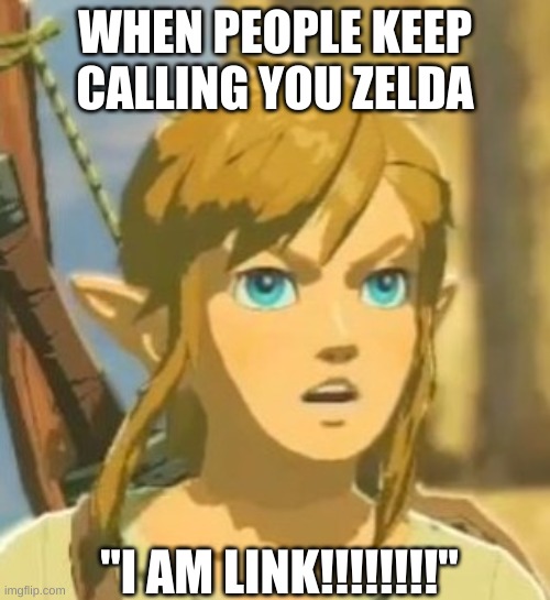 Offended Link | WHEN PEOPLE KEEP CALLING YOU ZELDA; "I AM LINK!!!!!!!!" | image tagged in offended link | made w/ Imgflip meme maker