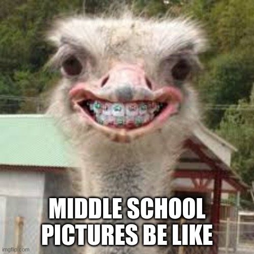 MIDDLE SCHOOL PICTURES BE LIKE | image tagged in school | made w/ Imgflip meme maker