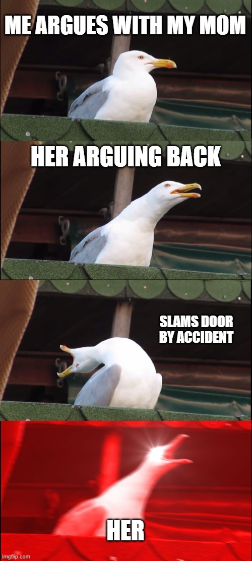 ME ARGUES WITH MY MOM HER ARGUING BACK SLAMS DOOR BY ACCIDENT HER | image tagged in memes,inhaling seagull | made w/ Imgflip meme maker