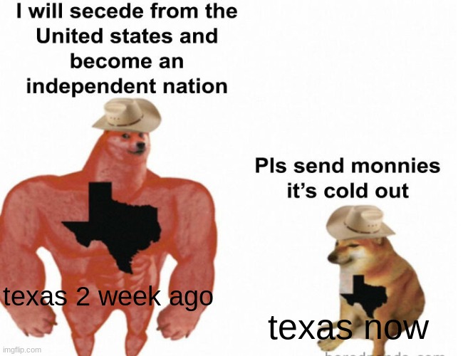 real tho | texas 2 week ago; texas now | image tagged in buff doge vs cheems | made w/ Imgflip meme maker
