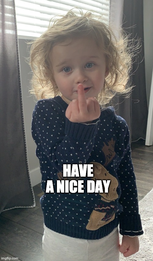 have a nice day | HAVE A NICE DAY | image tagged in girl flipping bird | made w/ Imgflip meme maker