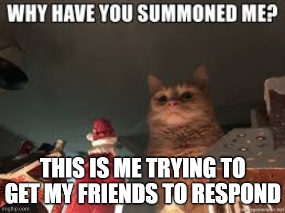 nbnb | THIS IS ME TRYING TO GET MY FRIENDS TO RESPOND | image tagged in nbnb | made w/ Imgflip meme maker