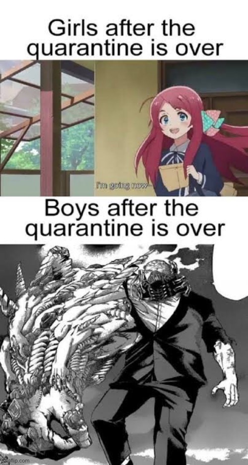 True | image tagged in mha,my hero academia,anime,weebs,bnha,boku no hero academia | made w/ Imgflip meme maker