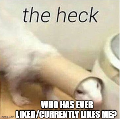 the heck | WHO HAS EVER LIKED/CURRENTLY LIKES ME? | image tagged in the heck | made w/ Imgflip meme maker