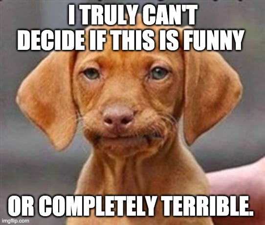 Frustrated dog | I TRULY CAN'T DECIDE IF THIS IS FUNNY OR COMPLETELY TERRIBLE. | image tagged in frustrated dog | made w/ Imgflip meme maker