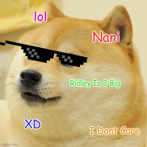 Wanna Play Xbox | lol; Nani; Ridley Is 2 Big; XD; I Dont Care | image tagged in memes,doge | made w/ Imgflip meme maker