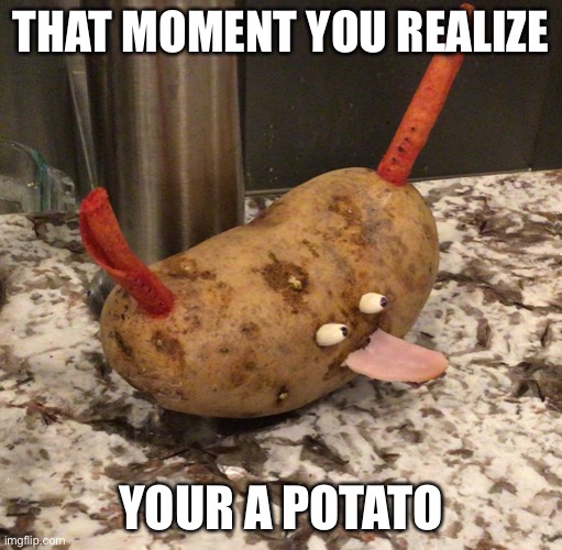 Potato | THAT MOMENT YOU REALIZE; YOUR A POTATO | image tagged in potato | made w/ Imgflip meme maker