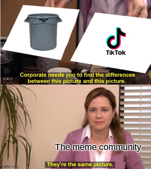 Idk why they hate on it so much | The meme community | image tagged in memes,they're the same picture | made w/ Imgflip meme maker