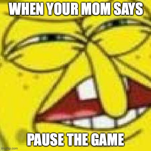 hUH? | WHEN YOUR MOM SAYS; PAUSE THE GAME | image tagged in huh,bruh moment | made w/ Imgflip meme maker