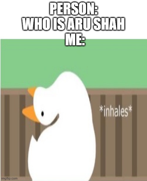 a few hours later | ME:; PERSON: WHO IS ARU SHAH | image tagged in books | made w/ Imgflip meme maker