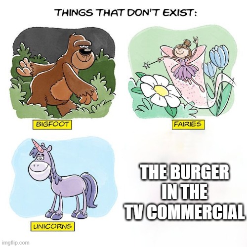 Things That Don't Exist | THE BURGER IN THE TV COMMERCIAL | image tagged in things that don't exist | made w/ Imgflip meme maker