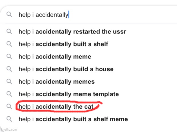 WHAT?!? | image tagged in the cat,how,idk | made w/ Imgflip meme maker