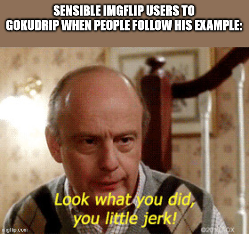 Look what you did, you little jerk | SENSIBLE IMGFLIP USERS TO GOKUDRIP WHEN PEOPLE FOLLOW HIS EXAMPLE: | image tagged in look what you did you little jerk | made w/ Imgflip meme maker