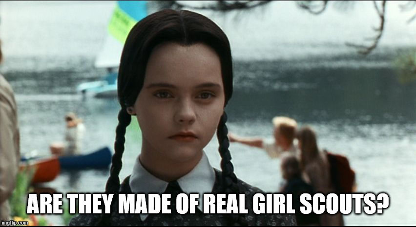 Wednesday Addams | ARE THEY MADE OF REAL GIRL SCOUTS? | image tagged in wednesday addams | made w/ Imgflip meme maker