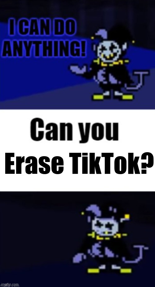 I can do anything! | Erase TikTok? | image tagged in undertale,deltarune | made w/ Imgflip meme maker