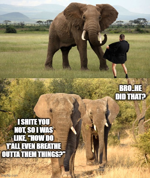 BRO..HE DID THAT? I SHITE YOU NOT, SO I WAS LIKE, "HOW DO Y'ALL EVEN BREATHE OUTTA THEM THINGS?" | image tagged in funny | made w/ Imgflip meme maker