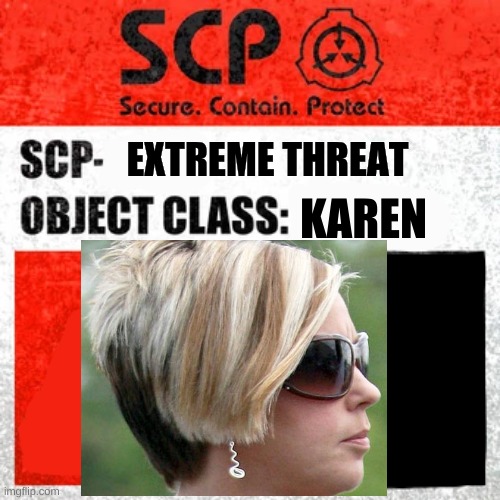 karen | EXTREME THREAT; KAREN | image tagged in karen | made w/ Imgflip meme maker